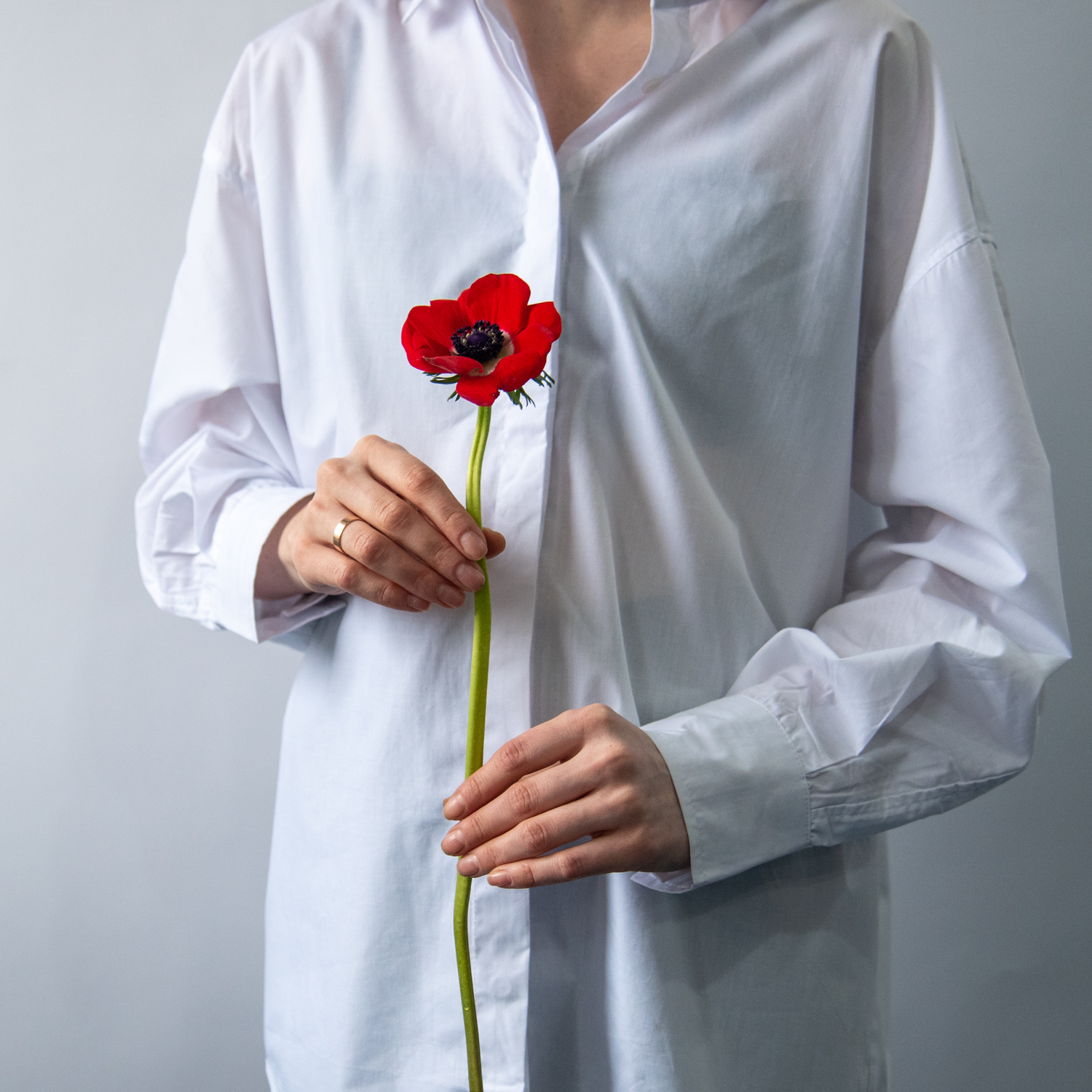 5 болезней роста начинающих флористов