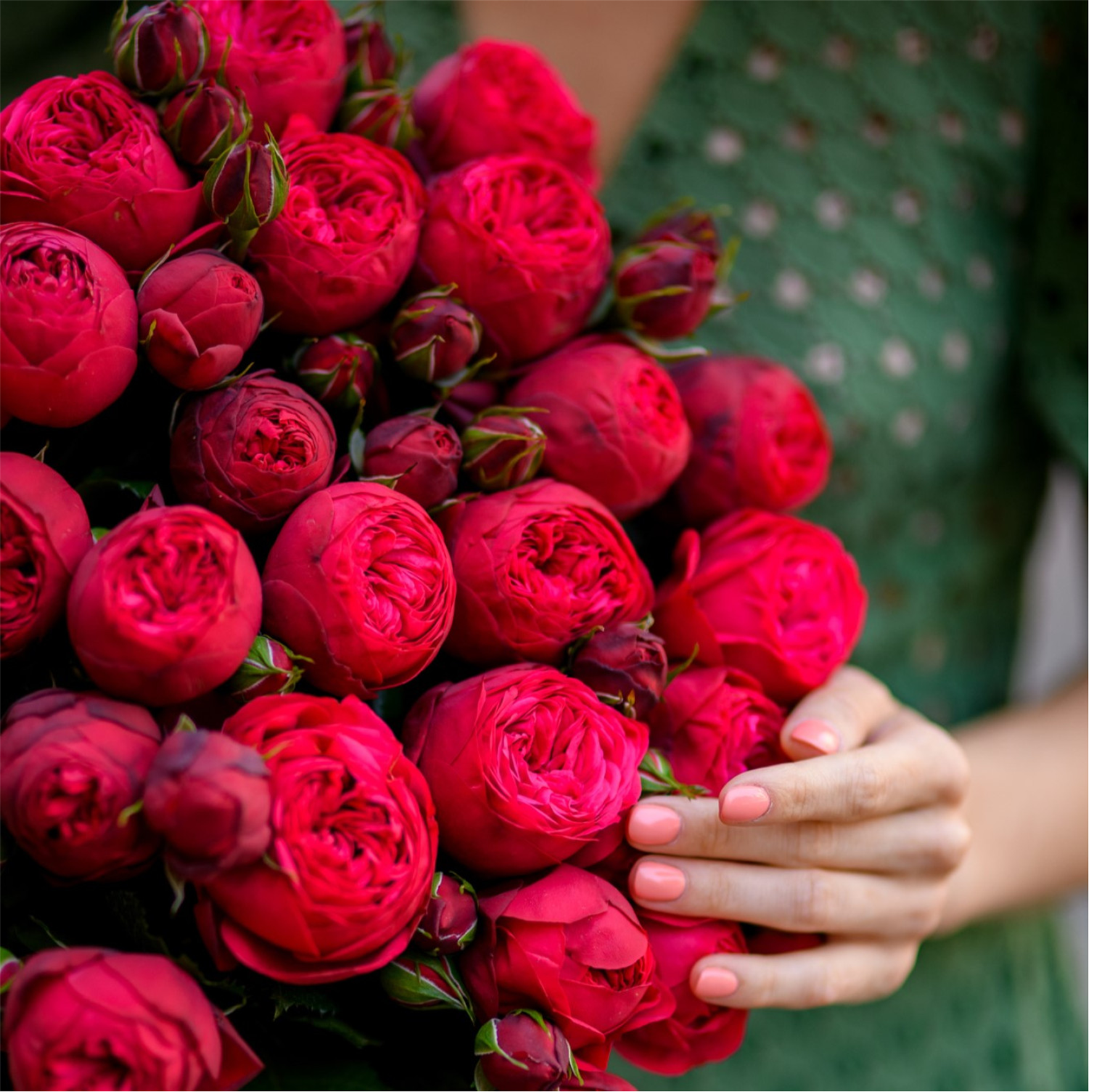 Пять сортов пионовидных роз, которые сделают ваши букеты невероятными